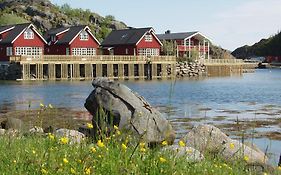 Lofoten Rorbusuiter